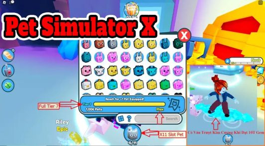 Acc-Pet-Simulator-X