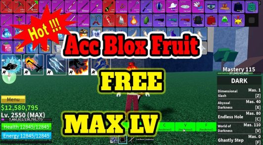 Acc blox fruit free max level